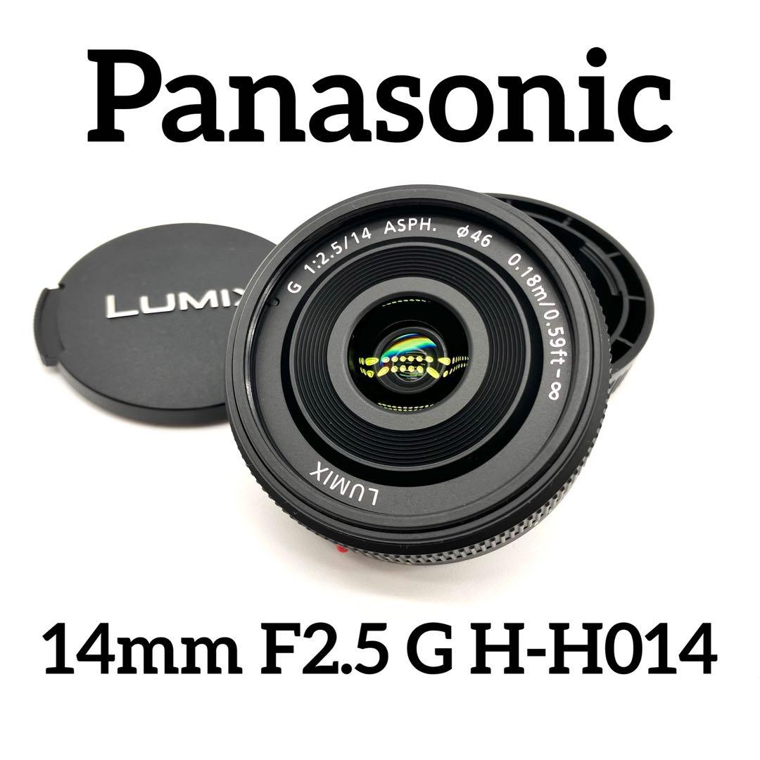 Panasonic 14mm F2.5 G H-H014 ブラック パナソニック LUMIX G 14mm/F2.5 II ASPH. H-H014A-K [ブラック] 価格
